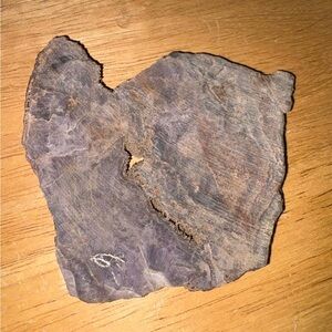 Rock Slab for cabs. #9.  petrified wood